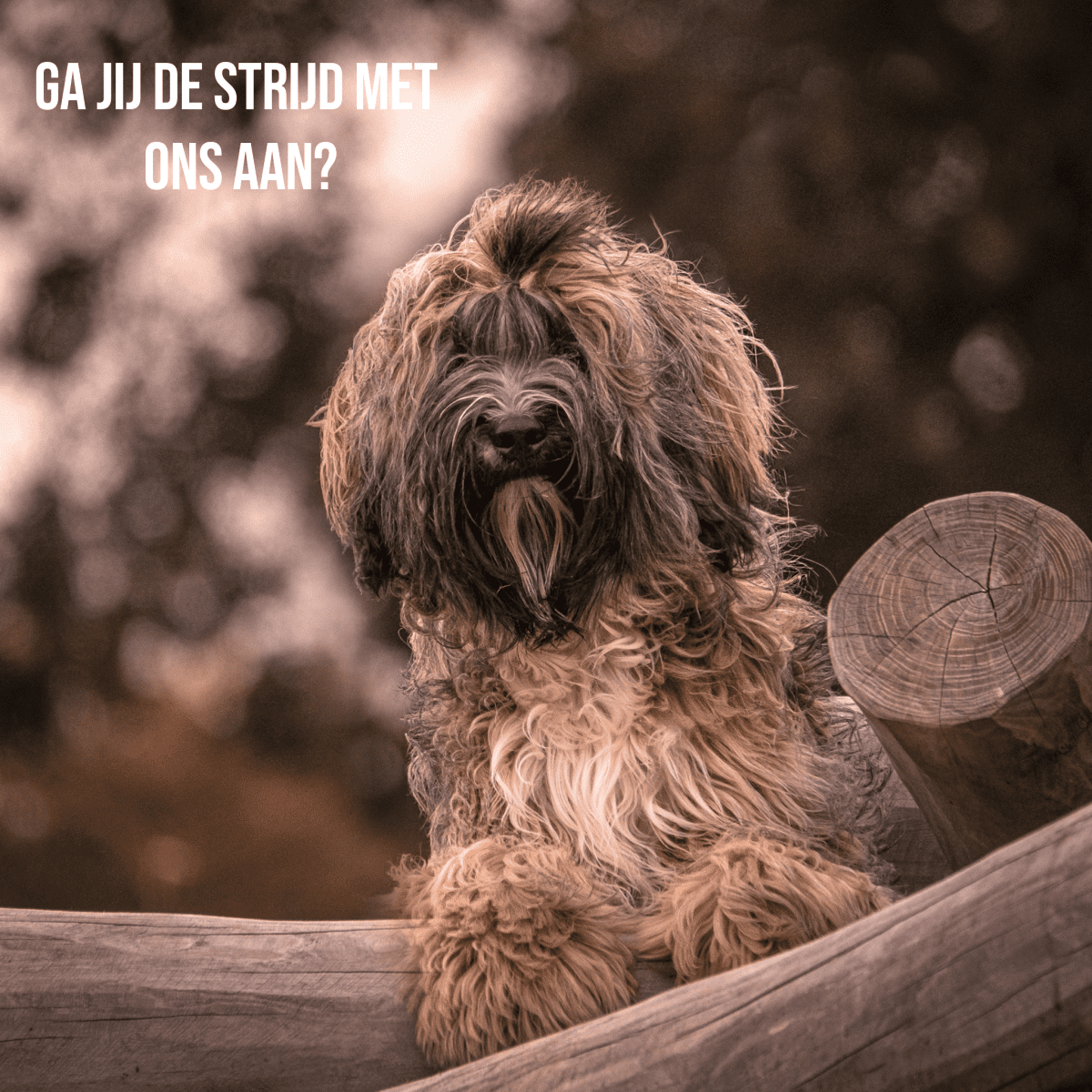 instasize_230106162952-1200x1200