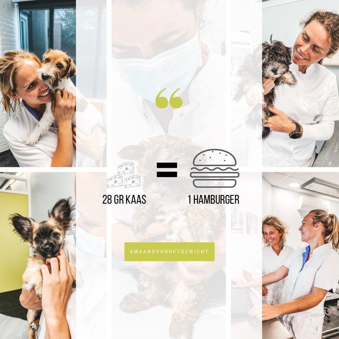 thumbnail_BD17F34C-B4EA-465B-A5DE-1C218C7F3837-1-1200x1200