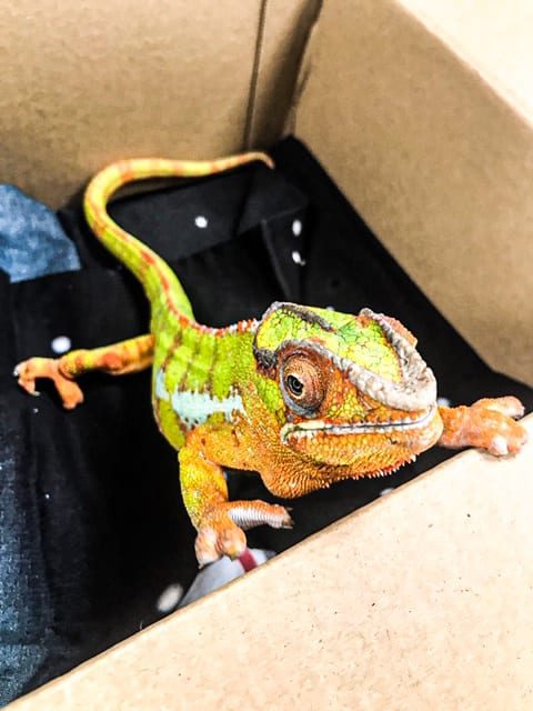 38d6113b-b1d6-4899-a30f-975f6671aaf1-570x760