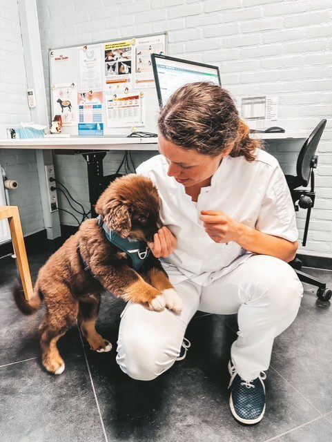 thumbnail_IMG_1185-570x758