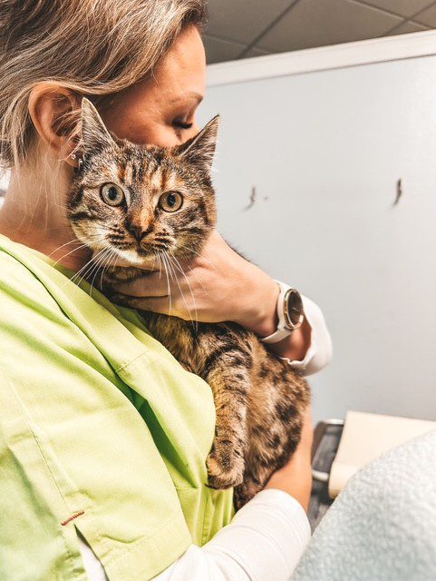 thumbnail_image1-570x758