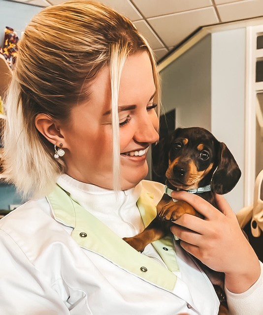 thumbnail_image3-570x683