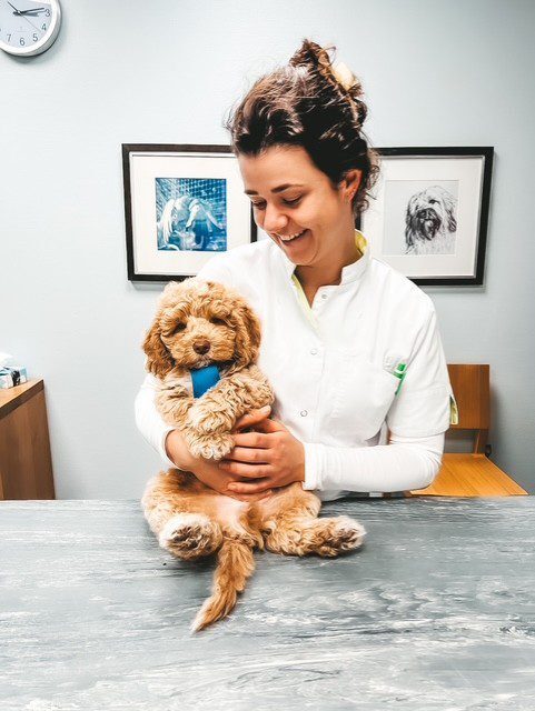 thumbnail_image5-570x758