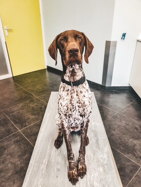 thumbnail_image6-570x758